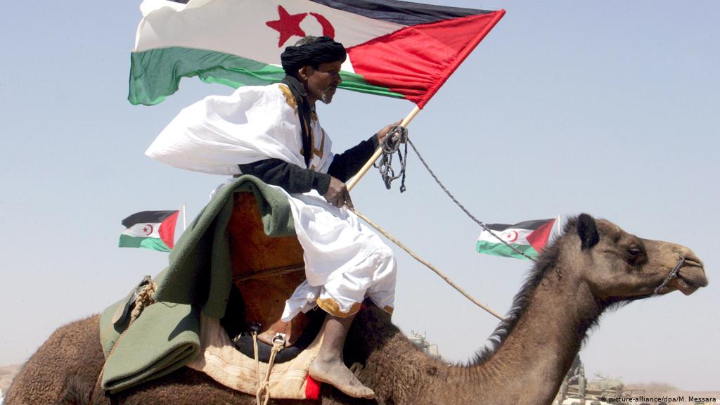 A Sahrawi man rides a camel and carries the Western Sahara flag