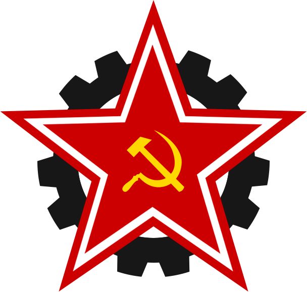 Interview with a member of the Revolutionary Communist Youth League (bolsheviks)